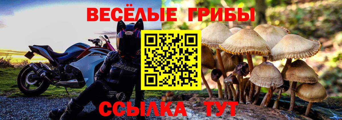 Псилоцибиновые грибы GOLDEN TEACHER  Вход с VPN  Усть-Илимск 